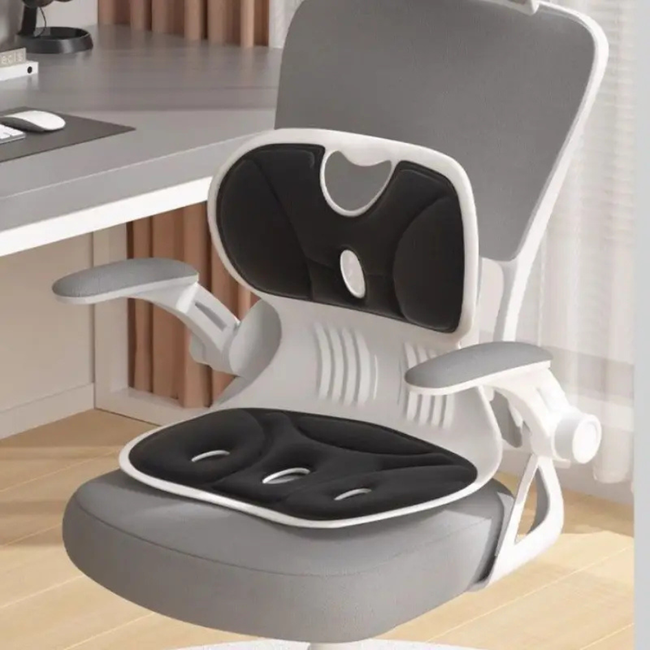 Leovia™ Orthopedic Lumbar Cushion