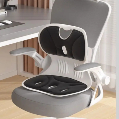 Leovia™ Orthopedic Lumbar Cushion