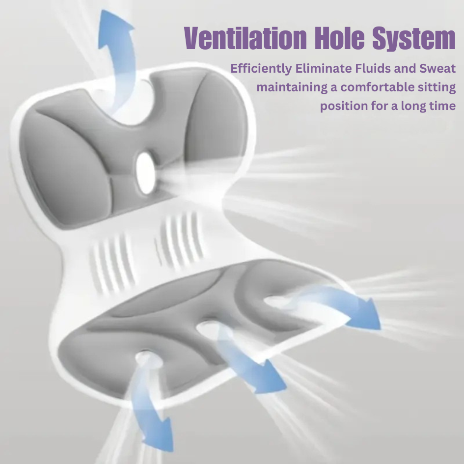 Leovia™ Orthopedic Lumbar Cushion