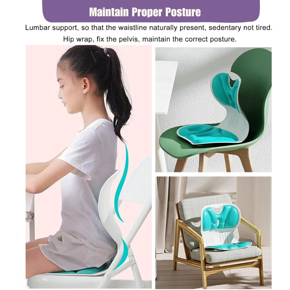 Leovia™ Orthopedic Lumbar Cushion